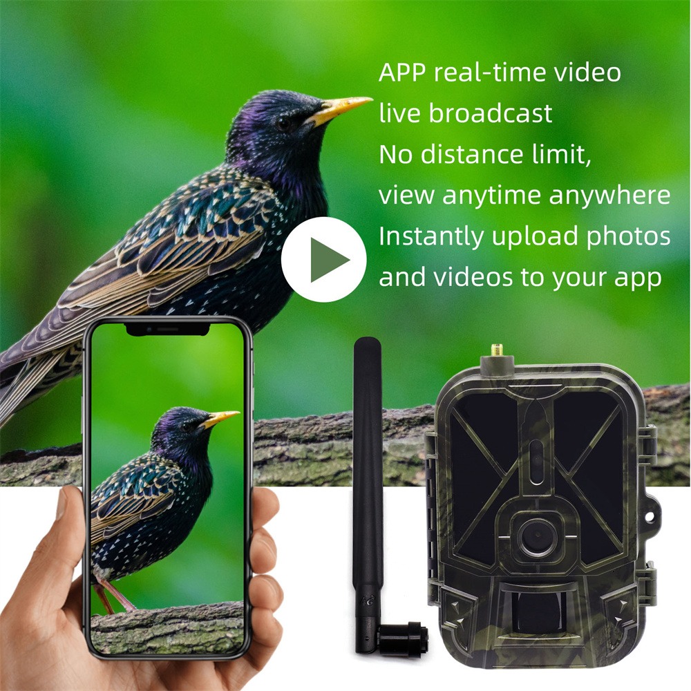 Outdoor 4G 120MP 4K Live Show  - Hunting And Outdoor Shows recensie en prijs