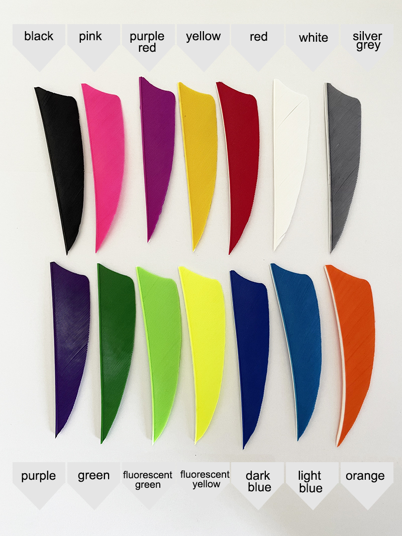 50Pcs 3Inch Archery Fletches F - Arrow Carbon Shaft recensie en prijs