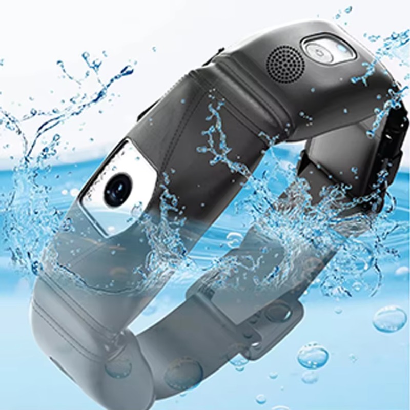 APP Controlled High Accuracy D - Outdoor Hunting Dog Collar recensie en prijs
