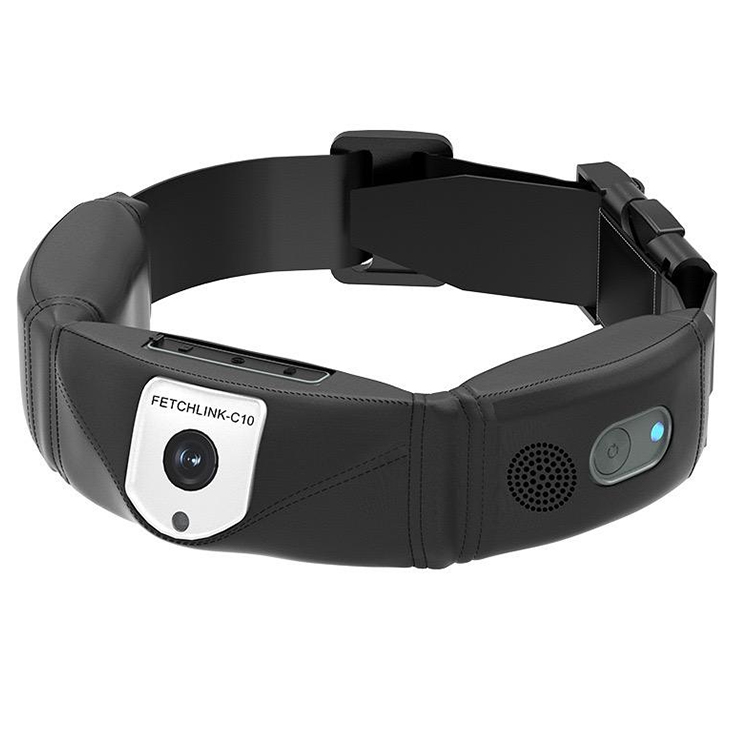 High Precision Dog GPS Tracker - Outdoor Hunting Dog Collar recensie en prijs