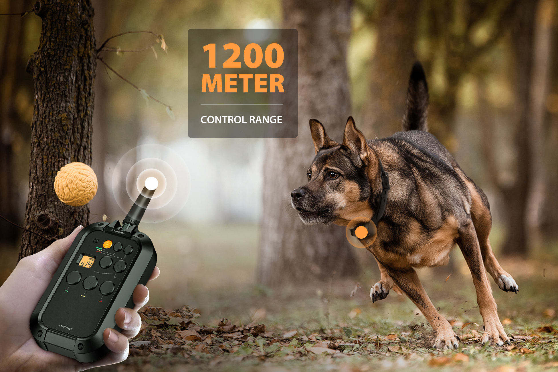 PATPET Professional Dog Traini - Outdoor Hunting Dog Collar recensie en prijs