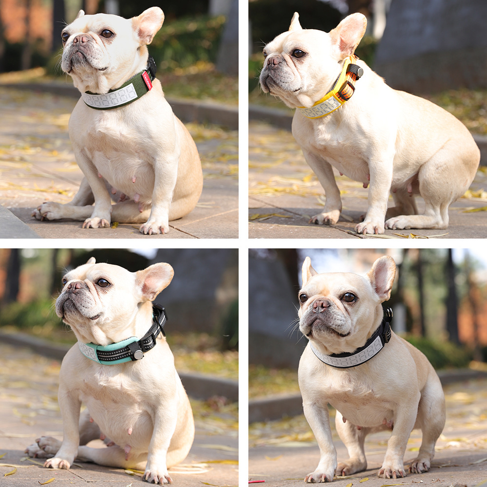 Outdoor Reflective Dog Collar  - Outdoor Hunting Dog Collar recensie en prijs