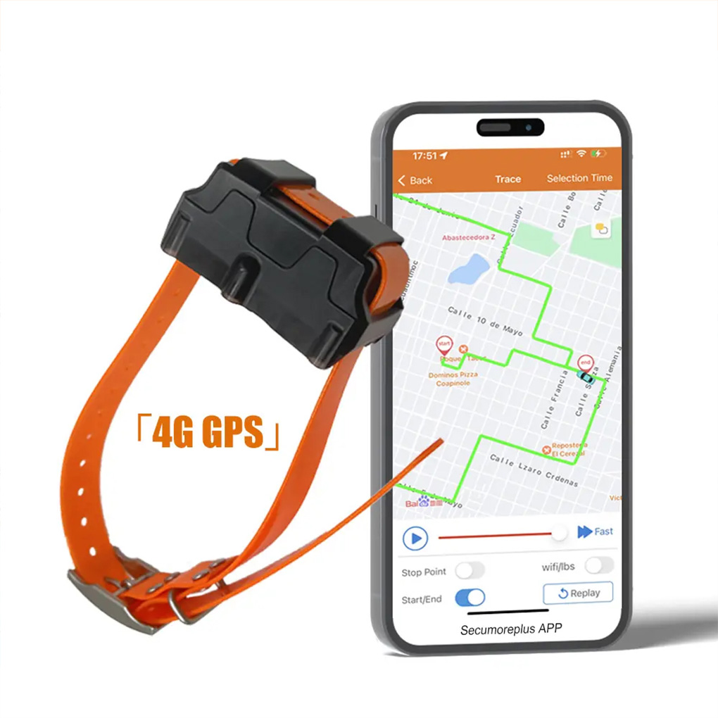 CY09A Portable Pet GPS Tracker - Outdoor Hunting Dog Collar recensie en prijs
