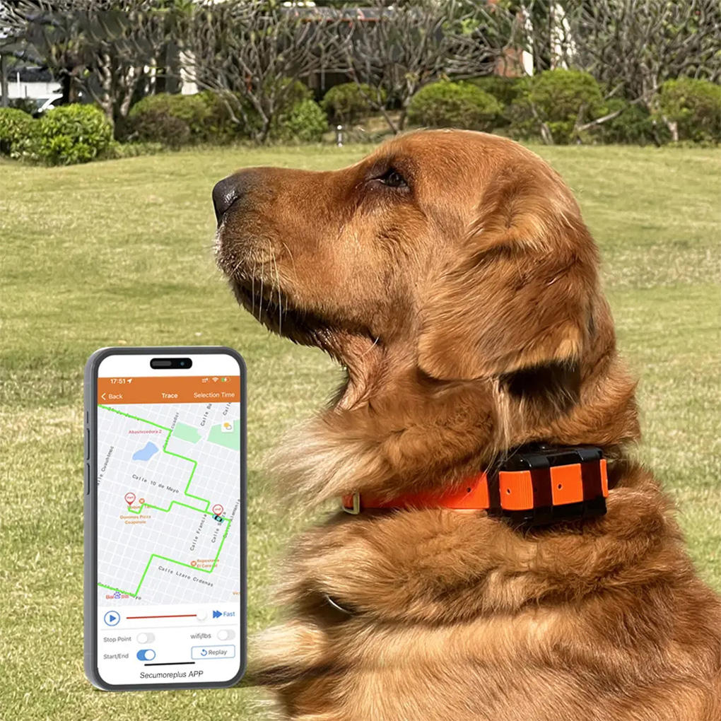 CY09A Portable Pet GPS Tracker - Outdoor Hunting Dog Collar recensie en prijs