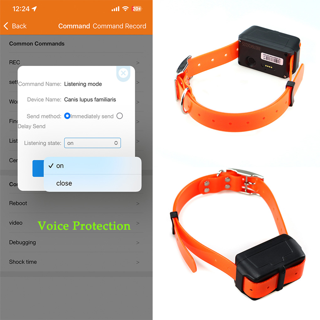 CY09A Portable Pet GPS Tracker - Outdoor Hunting Dog Collar recensie en prijs