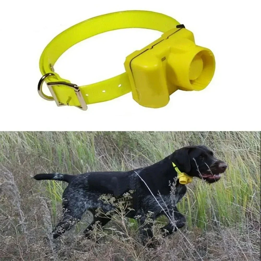 Updated Outdoor Hunting Dog Be - Outdoor Hunting Dog Collar recensie en prijs