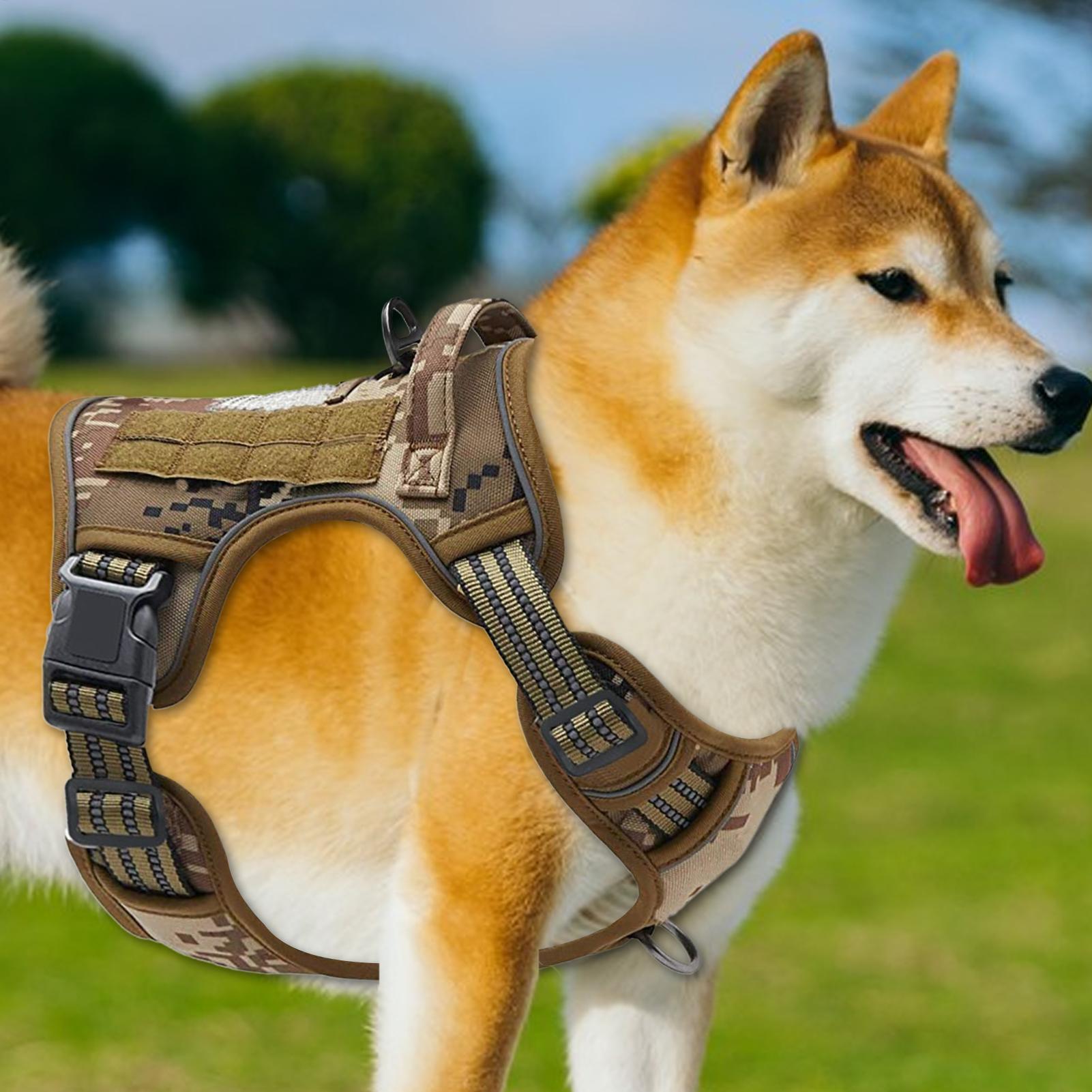 Heavy Duty Dog Harness Heavy D - Outdoor Hunting Dog Collar recensie en prijs