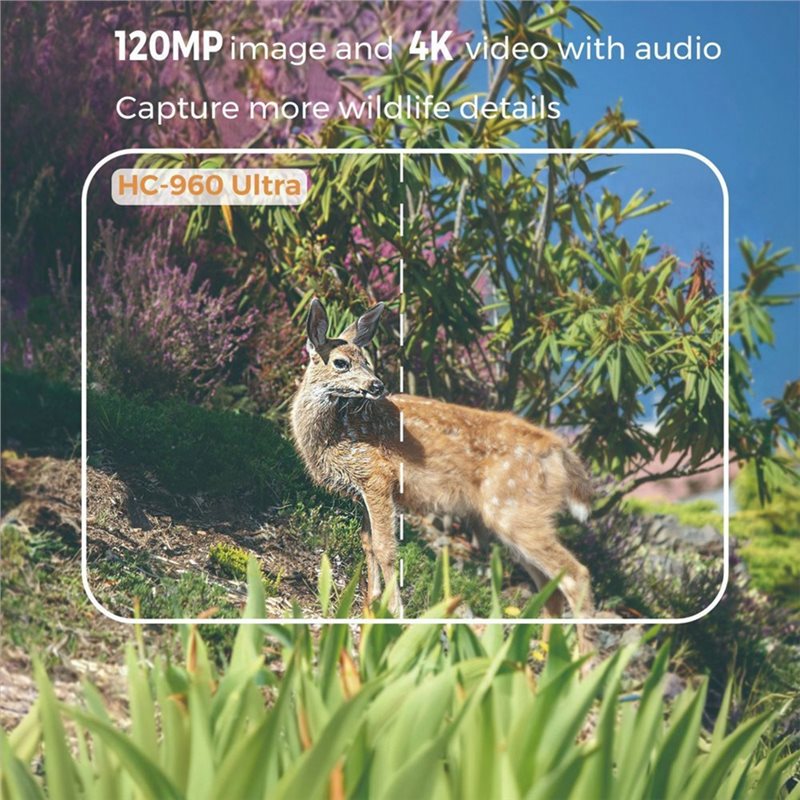 AS95-Outdoor 4G 120MP 4K Live  - Hunting And Outdoor Shows recensie en prijs