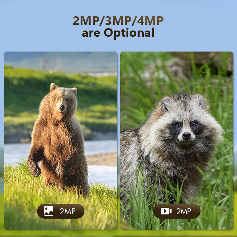4G 4MP Outdoor Wildlife Huntin - Hunting Outdoor Game recensie en prijs