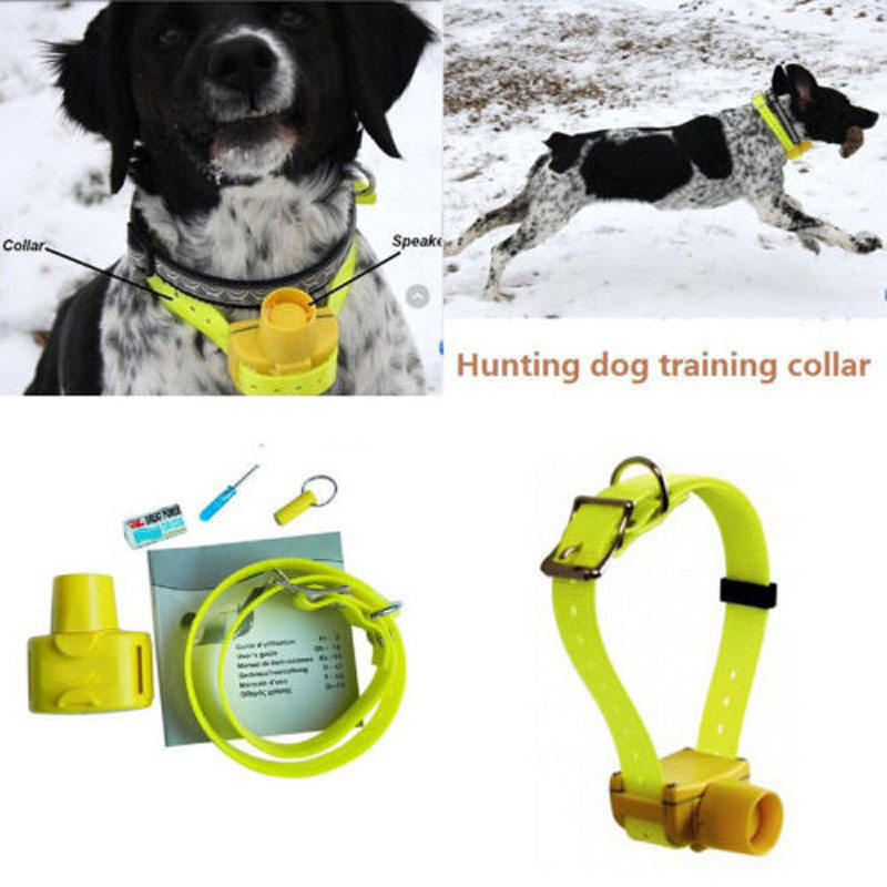 Professional Hunting Dog Beepe - Outdoor Hunting Dog Collar recensie en prijs