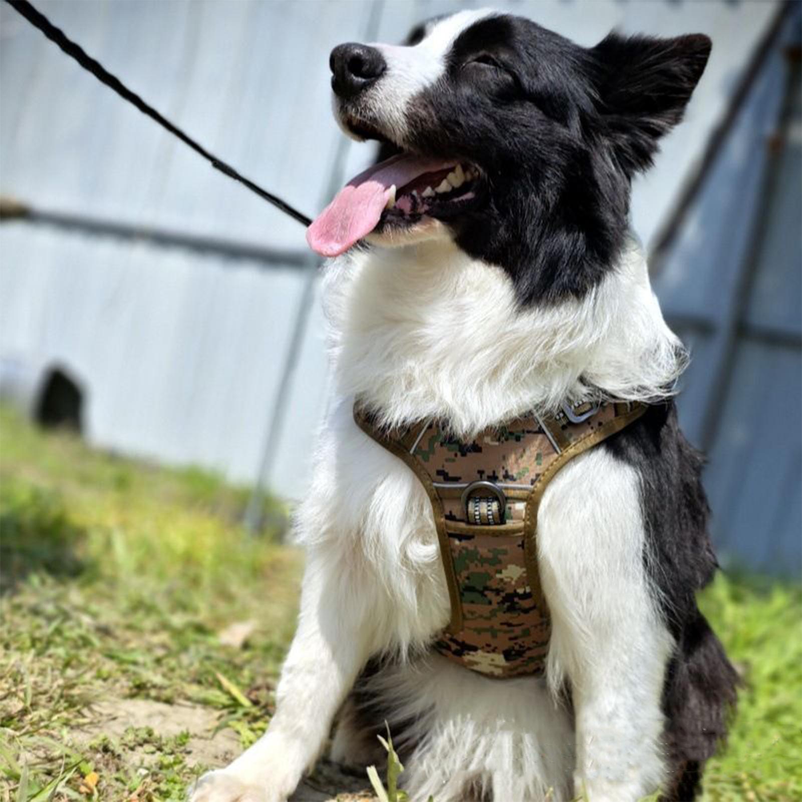 Heavy Duty Dog Harness No Pull - Outdoor Hunting Dog Collar recensie en prijs
