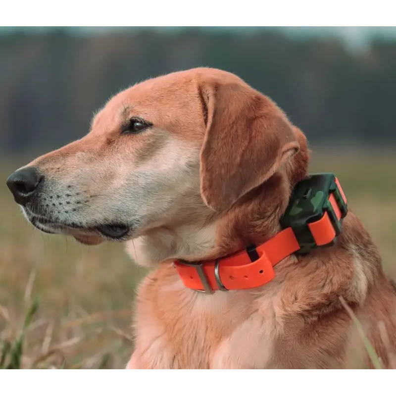 ICAR IK122M 2000mah Collar 4G  - Outdoor Hunting Dog Collar recensie en prijs